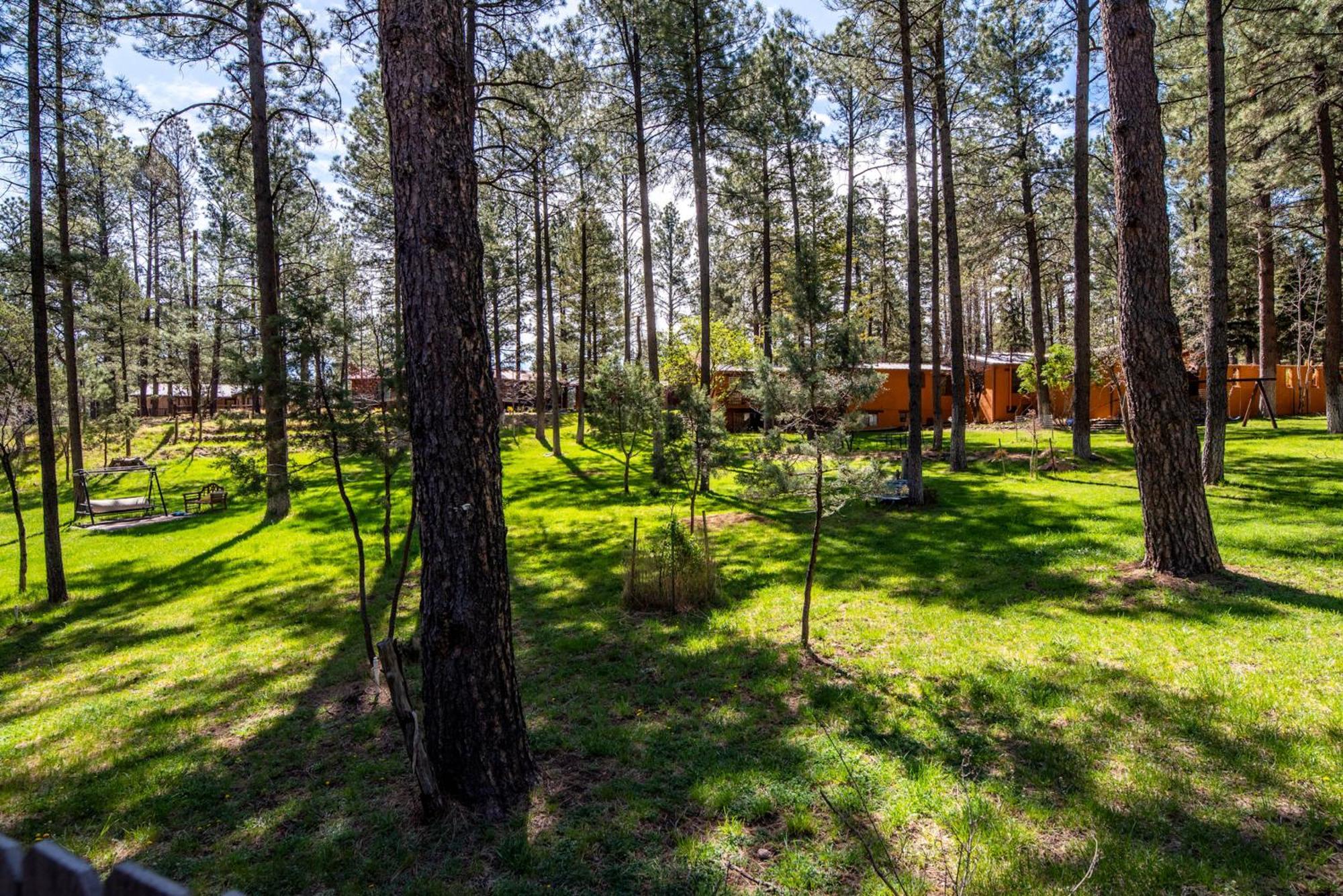 Rustic Pines Retreat Villa Ruidoso Rum bild